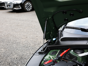 202145 TFSI quattro x(dng) 