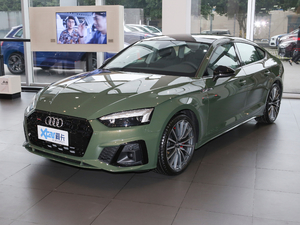2021款40 TFSI quattro 豪华动感型 左前45度