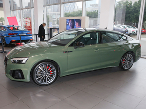2021款40 TFSI quattro 豪华动感型 整体外观