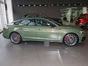 2021款40 TFSI quattro 豪华动感型 整体外观