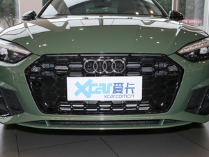 2021款40 TFSI quattro 豪华动感型 中网