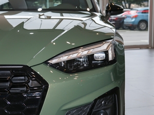 2021款40 TFSI quattro 豪华动感型 大灯