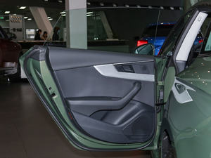 2021款40 TFSI quattro 豪华动感型 左后车门