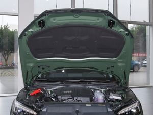 2021款40 TFSI quattro 豪华动感型 其它