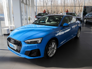 202140 TFSI rЄӸ ǰ45