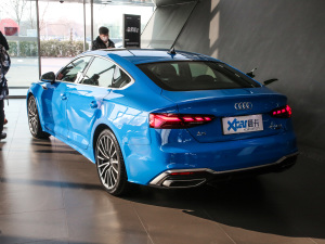 2021款40 TFSI quattro 豪华智雅型 左后45度