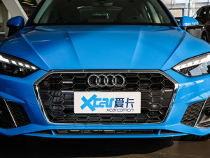 2021款40 TFSI quattro 豪华智雅型 中网