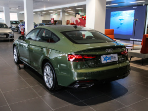 2021款40 TFSI 时尚智雅型 左后45度