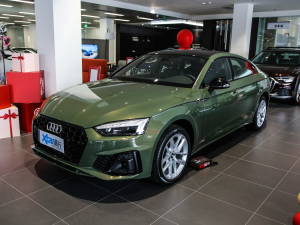 2021款40 TFSI 时尚智雅型 左前45度