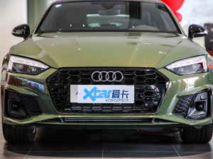 2021款40 TFSI 时尚智雅型 中网