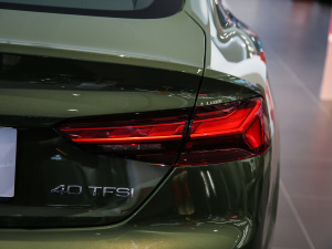 2021款40 TFSI 时尚智雅型 尾灯