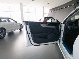 2021款40 TFSI 时尚动感型 驾驶位车门
