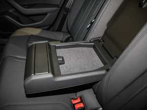 2021̽ 55 TFSI ԽҰ g