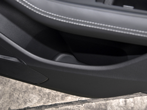 2021��55 TFSI ���x�Ӹ��� ���g����