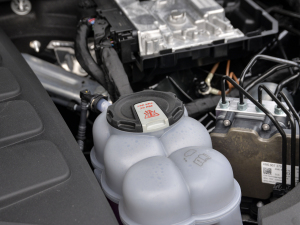 2021��45 TFSI ���A������ ����