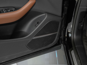 2021��55 TFSI ���A�Ӹ��� ���g����