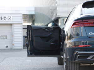 2021��55 TFSI ���x�Ӹ��� ���g����