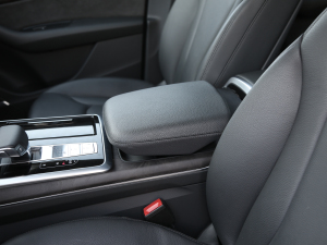 2021��55 TFSI ���x�Ӹ��� ���g����