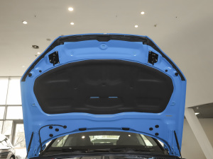 2021Coupe 40 TFSI rЄӸ 