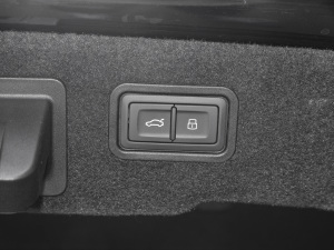 202160 TFSIe quattro g