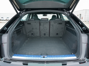 2022��55 TFSI ���x�Ӹ��� ���g����