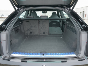 2022��55 TFSI ���x�Ӹ��� ���g����