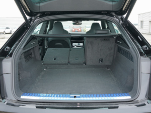 2022��55 TFSI ���x�Ӹ��� ���g����