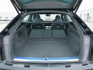 2022��55 TFSI ���x�Ӹ��� ���g����