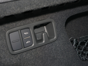 2022��55 TFSI ���x�Ӹ��� ���g����