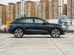 2022��55 TFSI ����Ӹ��� ���ȣ��ң�