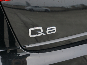 2022��55 TFSI ��ѩ�\�Ӱ� �������^