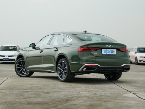 2022款Sportback 45 TFSI quattro 臻选动感型 左后45度