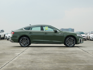 2022Sportback 45 TFSI quattro xӸ (c)ң