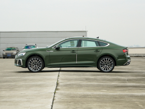 2022款Sportback 40 TFSI quattro 豪华动感型 正侧（左）