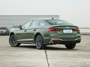 2022款Sportback 40 TFSI quattro 豪华动感型 左后45度