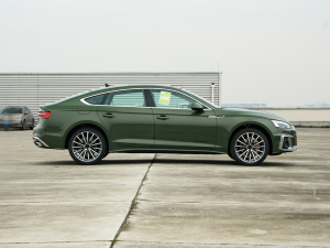 2022Sportback 40 TFSI quattro AӸ ȣң