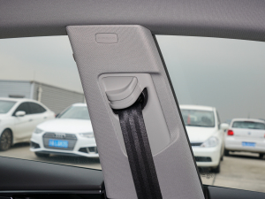 2022Sportback 40 TFSI rЄӸ g