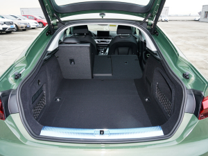 2022Sportback 40 TFSI rЄӸ g