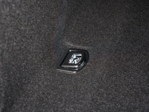 2022Coupe 40 TFSI rЄӸ g