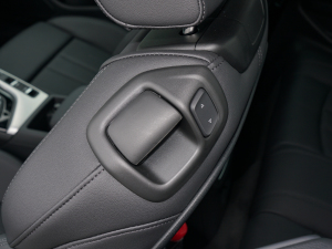 2022��Cabriolet 40 TFSI �r�ЄӸ��� ���g����