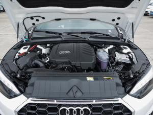 2022��Cabriolet 40 TFSI �r(sh��)�Є�(d��ng)���� �l(f��)��(d��ng)�C(j��)