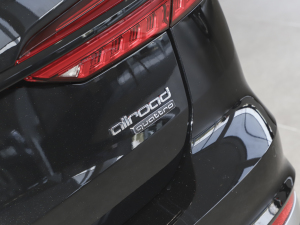 2022allroad quattro 55 TFSI ѩ\Ӱ ^