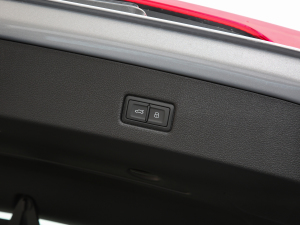 20222.9 TFSI quattro g