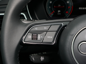 2022allroad quattro п؅^(q)