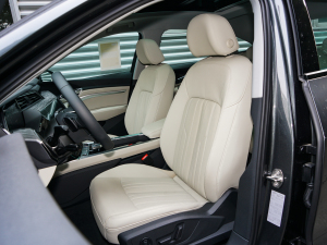 2022Sportback 55 quattro A g