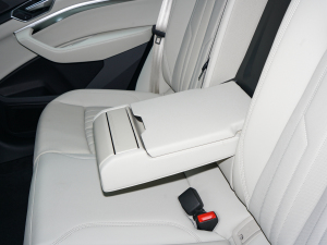 2022Sportback 55 quattro A g