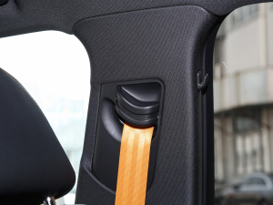 2022Sportback 55 quattro  g