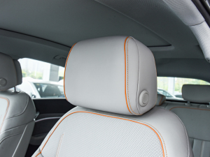 2022Sportback 55 quattro x g