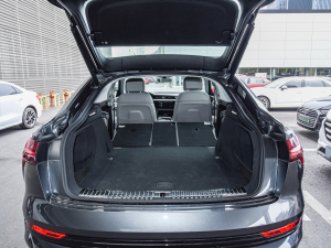 2022Sportback 55 quattro x g