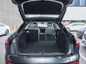 2022Sportback 55 quattro x g